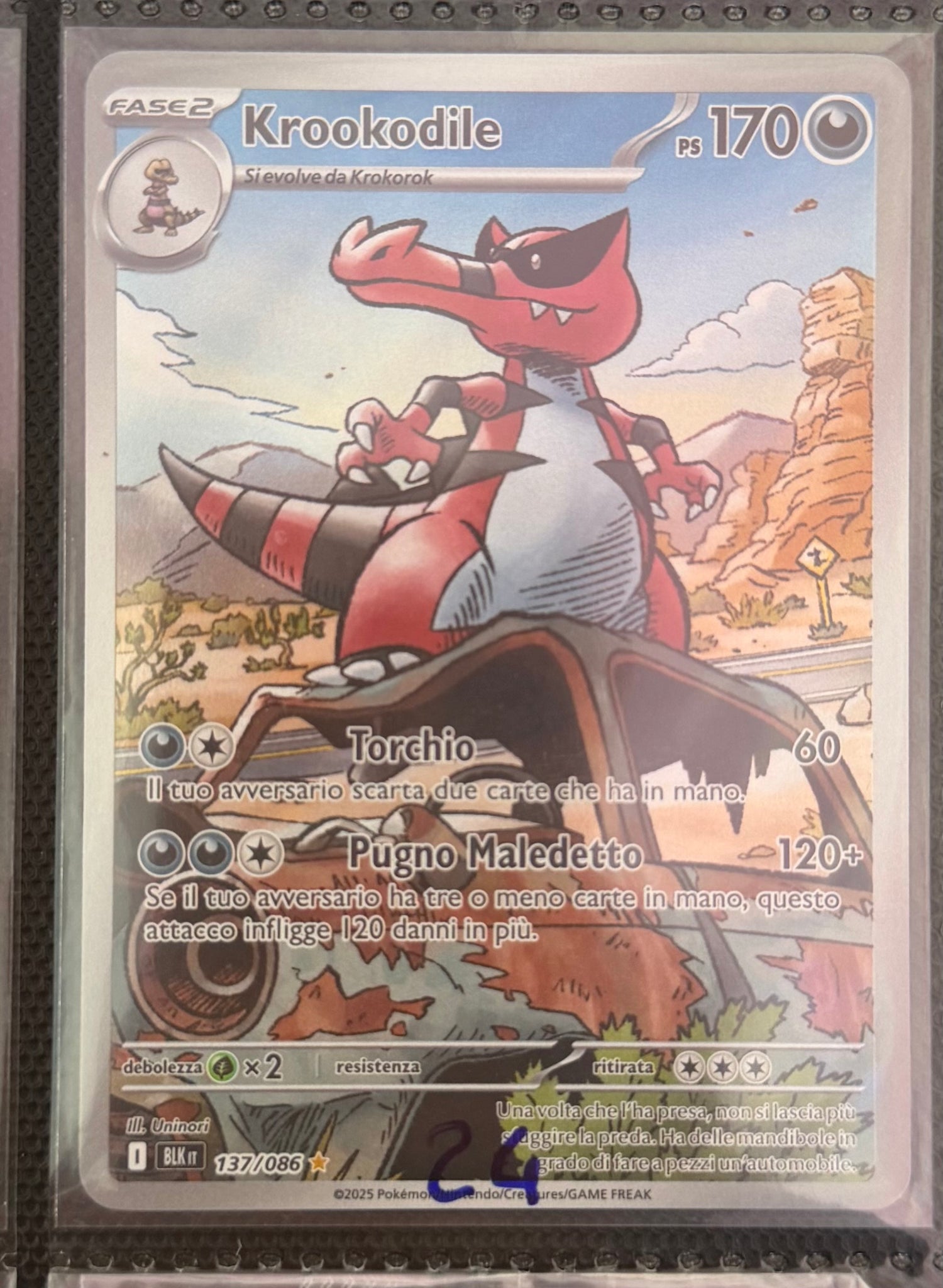 Pokémon TCG Collection ⭐